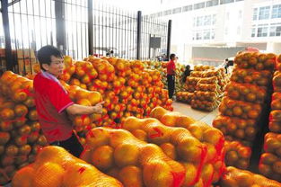 海峽農副產品中心 打造智慧農貿新標桿，引領電子結算新時代