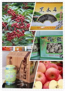 鳳縣旅游名片 青山綠水間的豐饒物產