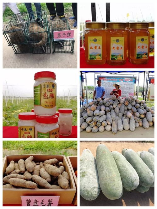 決勝2019 牙叉鎮(zhèn)農(nóng)副產(chǎn)品展銷會(huì)人氣旺盛，銷售額突破6.1萬元