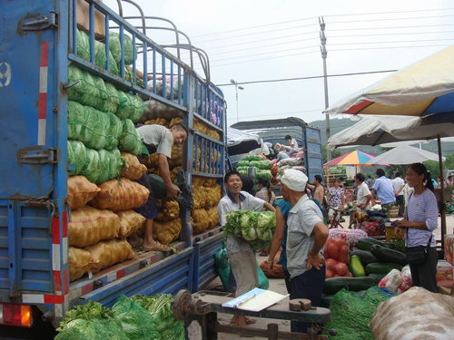 犍為南城農(nóng)副產(chǎn)品批發(fā)市場正式投入運(yùn)營 暢通城鄉(xiāng)“菜籃子”供應(yīng)鏈